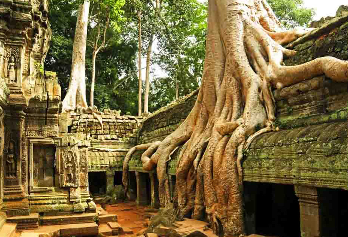 Ta Prohm Temple