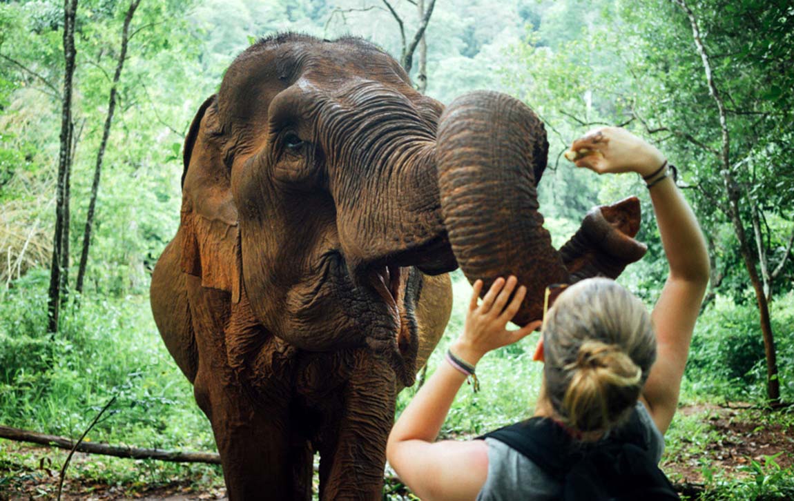 Wildlife Photography Workshop